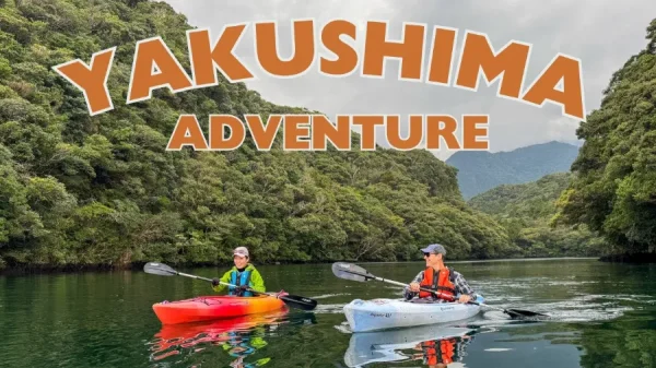 Yakushima Island: Khá Phá Bí Ẩn Của Vùng Đất Nguyên Sơ