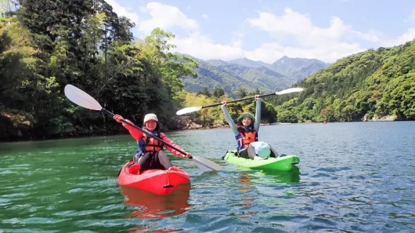 Yakushima Island: Khá Phá Bí Ẩn Của Vùng Đất Nguyên Sơ