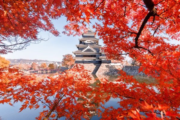Ngắm nhìn vẻ đẹp lộng lẫy của Himeji Castle vào mùa thu