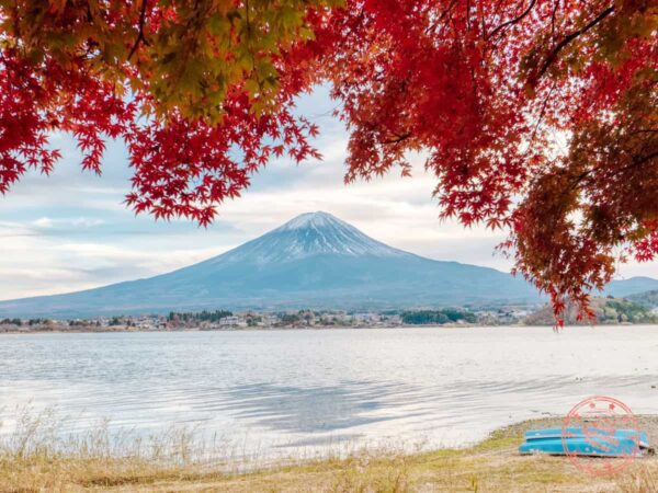Ashinoko Lake - Hành trình khám phá mùa thu trọn vẹn tại Nhật Bản