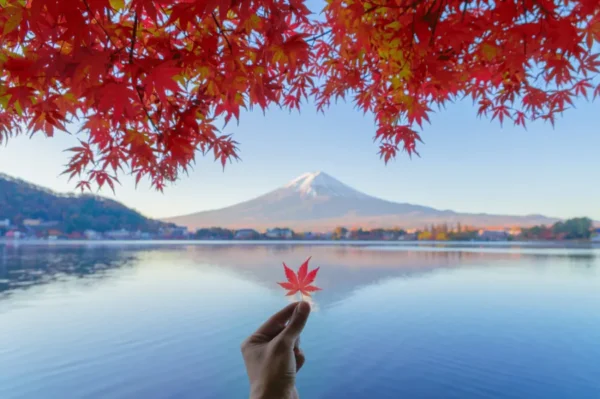 Ashinoko Lake - Hành trình khám phá mùa thu trọn vẹn tại Nhật Bản