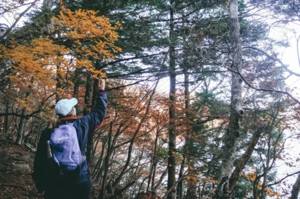 Chuzenji Lake - Vẻ đẹp của hồ Chuzenji vào mùa thu Nhật Bản