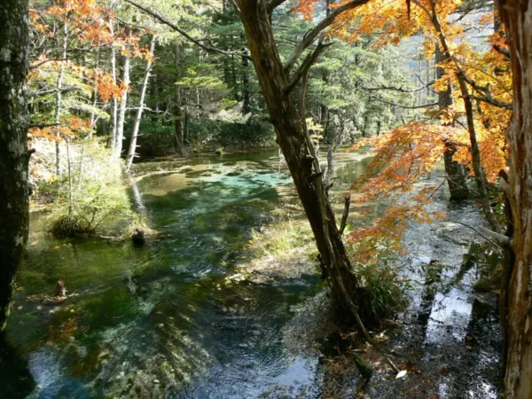 Kamikochi - thung lũng thần tiên ở phía Bắc Nhật Bản