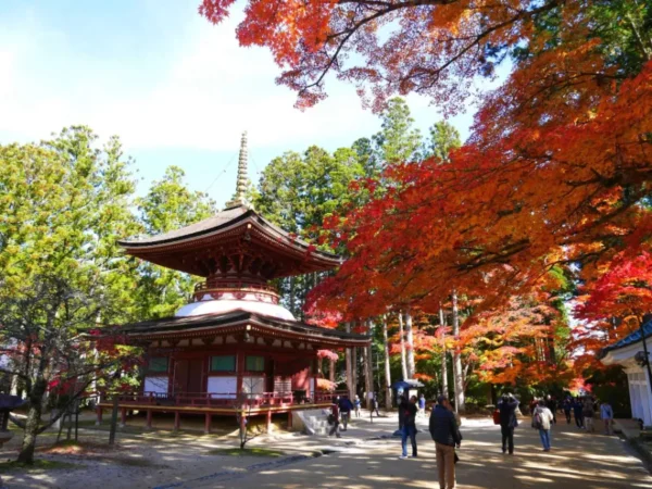 Núi Koya (Koyasan)