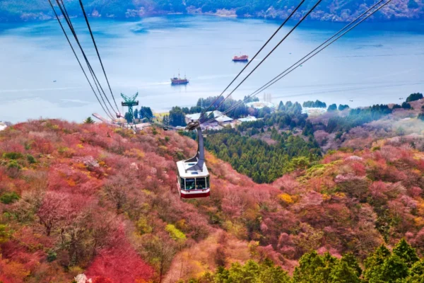 Ashinoko Lake - Hành trình khám phá mùa thu trọn vẹn tại Nhật Bản