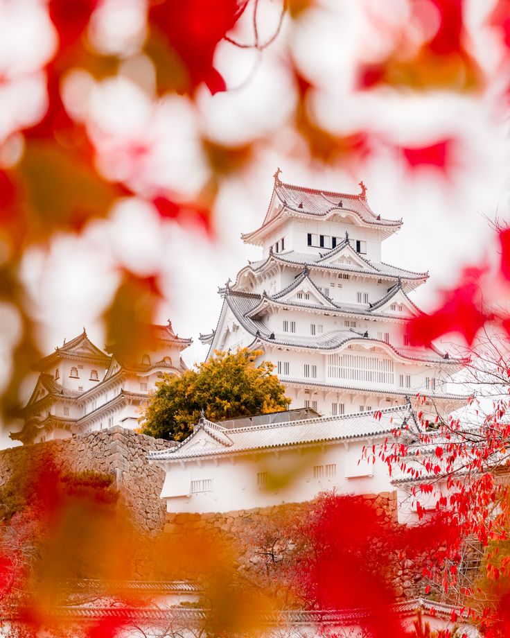 Himeji Castle vào mùa thu