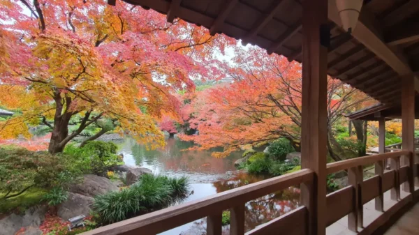 Himeji Castle vào mùa thu