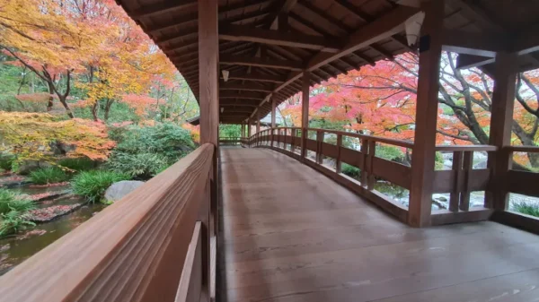 Himeji Castle vào mùa thu