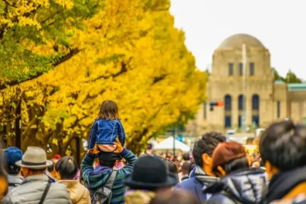 Đại lộ Icho Namiki - con đường lá vàng ở Tokyo
