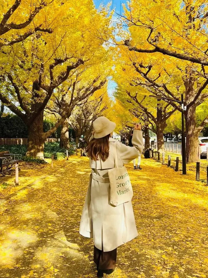 Đại lộ Icho Namiki - con đường lá vàng ở Tokyo
