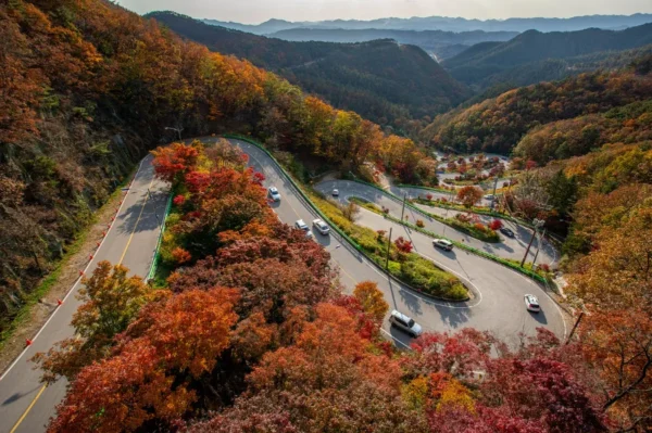 Irohazaka Road - Hành trình xuyên sắc thu Nhật Bản