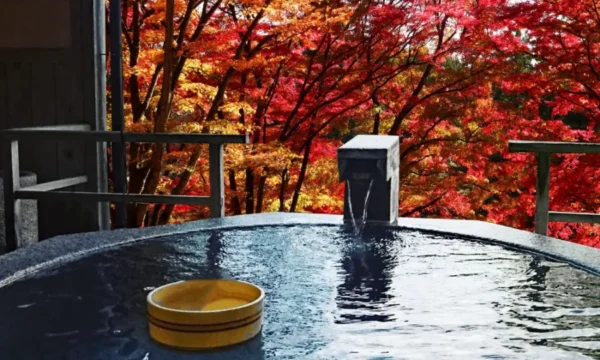 Hành trình săn lá đỏ trên đỉnh núi Takao (Takao Mountain)