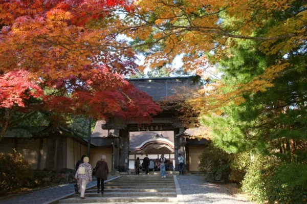Núi Koya (Koyasan)