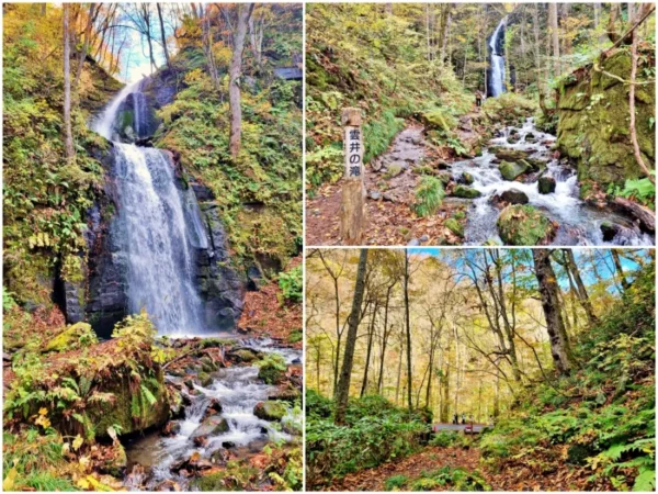 Oirase Keiryu Gorge