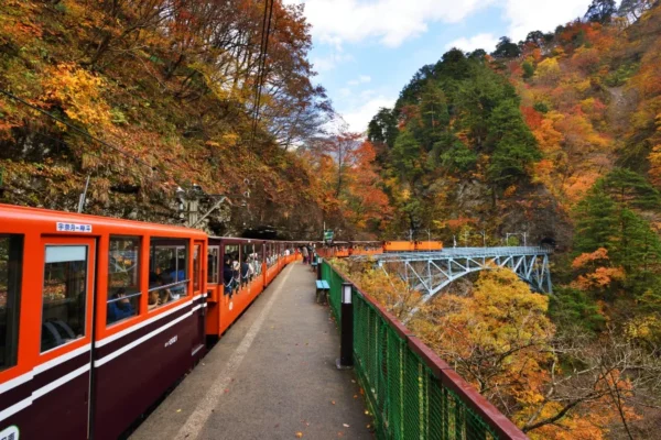 Ngồi tàu ngắm lá đỏ: Trải nghiệm có 1-0-2 tại Kurobe Gorge
