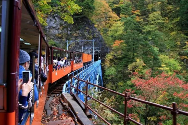 Ngồi tàu ngắm lá đỏ: Trải nghiệm có 1-0-2 tại Kurobe Gorge