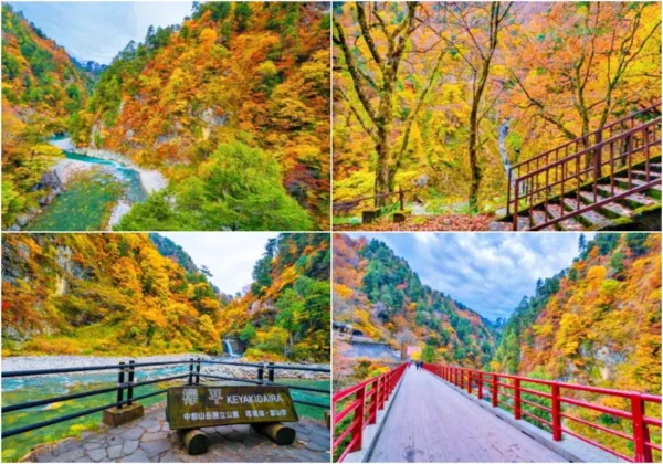 Ngồi tàu ngắm lá đỏ: Trải nghiệm có 1-0-2 tại Kurobe Gorge