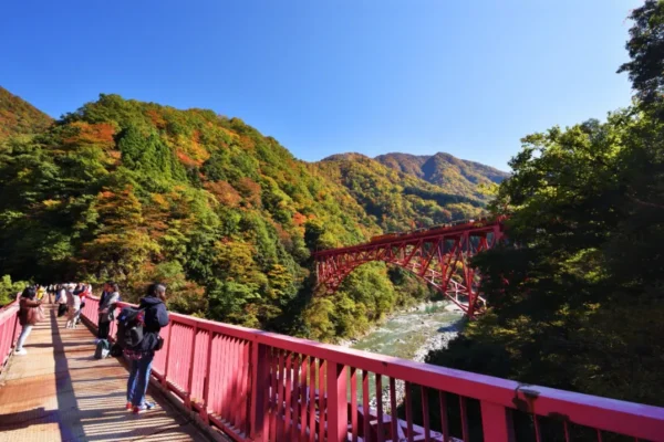 Ngồi tàu ngắm lá đỏ: Trải nghiệm có 1-0-2 tại Kurobe Gorge