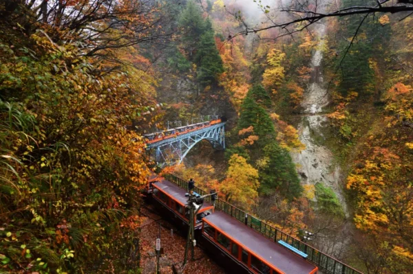 Ngồi tàu ngắm lá đỏ: Trải nghiệm có 1-0-2 tại Kurobe Gorge