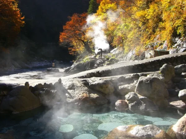 Ngồi tàu ngắm lá đỏ: Trải nghiệm có 1-0-2 tại Kurobe Gorge