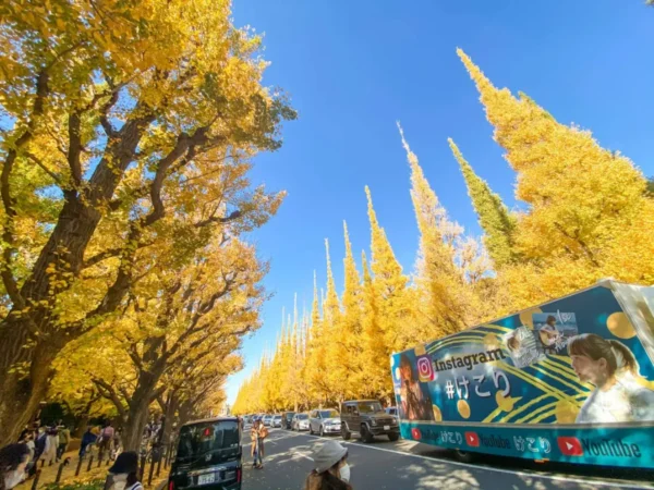Meiji Jingu Gaien - Khung cảnh lá vàng tuyệt đẹp giữa thủ đô Tokyo