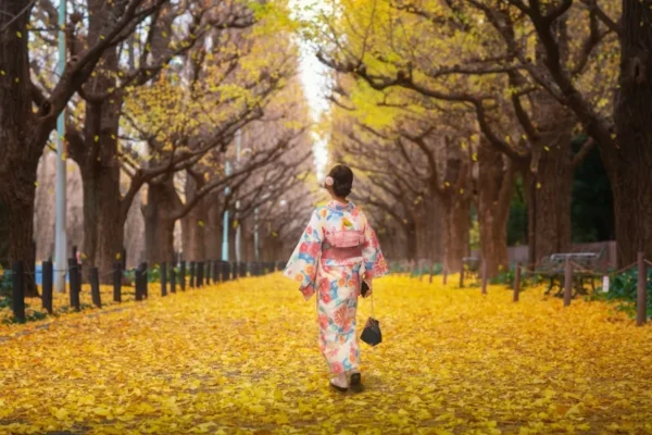 Meiji Jingu Gaien - Khung cảnh lá vàng tuyệt đẹp giữa thủ đô Tokyo