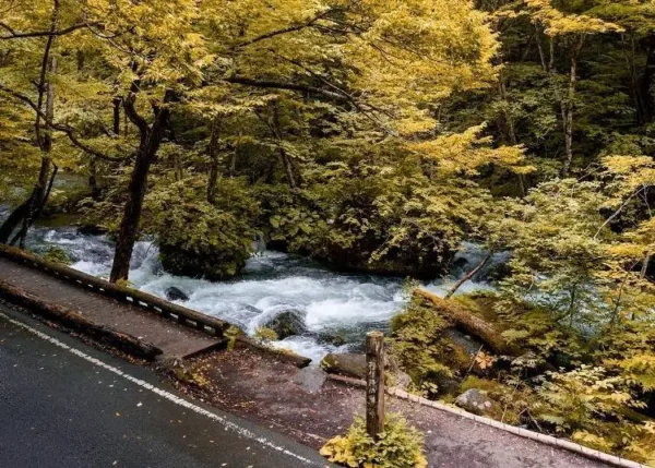 Oirase Keiryu Gorge
