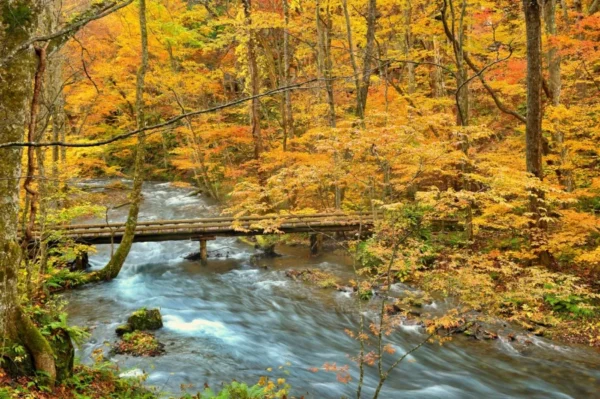 Oirase Keiryu Gorge