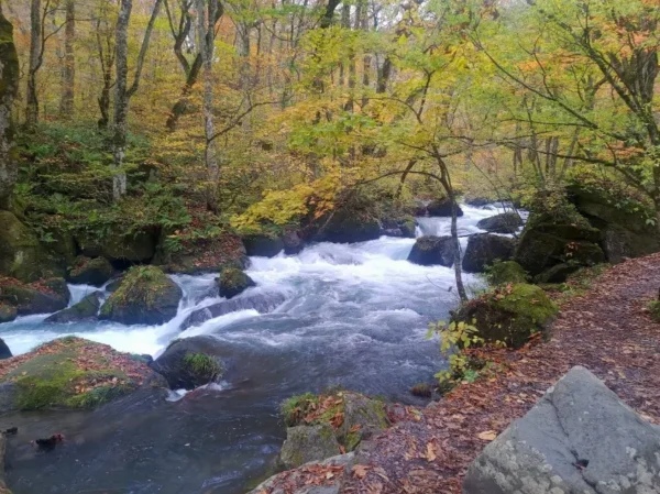 Oirase Keiryu Gorge