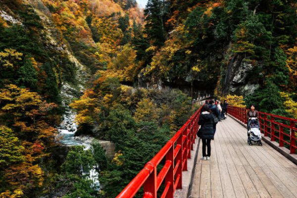 Ngồi tàu ngắm lá đỏ: Trải nghiệm có 1-0-2 tại Kurobe Gorge