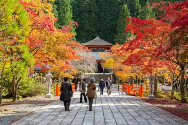 Núi Koya (Koyasan)