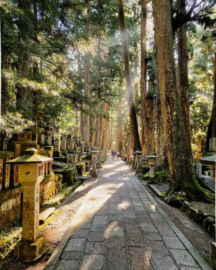 Núi Koya (Koyasan)