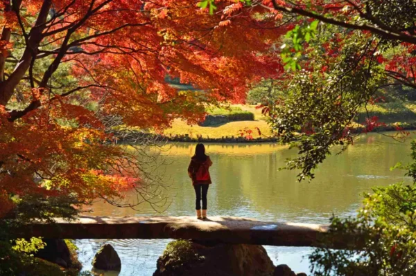 Rikugien Garden vào mùa thu