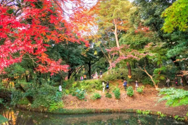 Rikugien Garden vào mùa thu