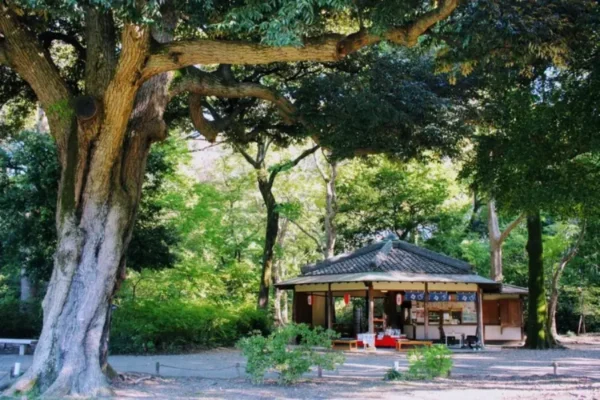 Rikugien Garden vào mùa thu