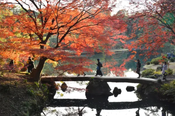 Rikugien Garden vào mùa thu