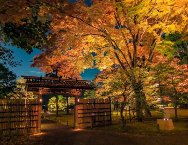 Rikugien Garden vào mùa thu