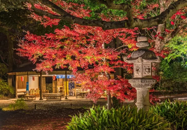 Rikugien Garden vào mùa thu
