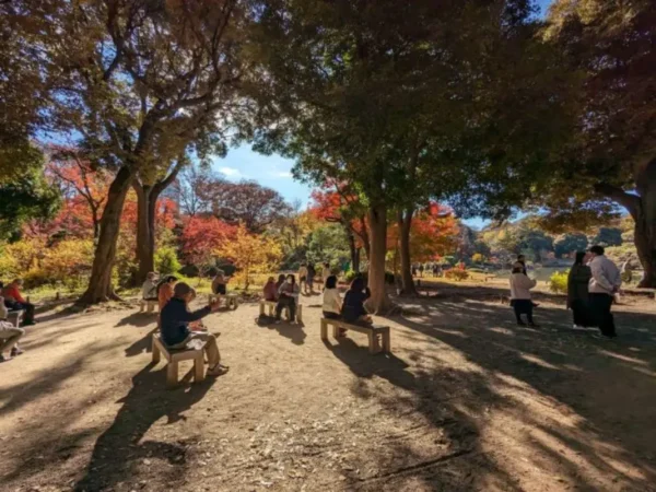 Rikugien Garden vào mùa thu