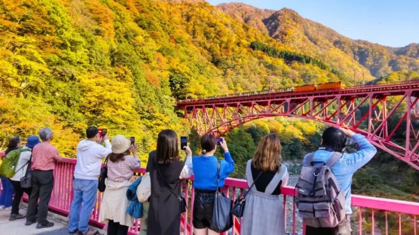 Ngồi tàu ngắm lá đỏ: Trải nghiệm có 1-0-2 tại Kurobe Gorge