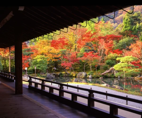 Tenryuji Temple - Vẻ đẹp của ngôi đền cổ vào mùa lá đỏ