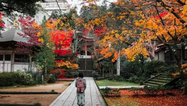 Hành trình săn lá đỏ trên đỉnh núi Takao (Takao Mountain)