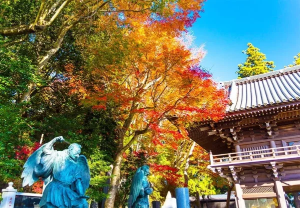 Hành trình săn lá đỏ trên đỉnh núi Takao (Takao Mountain)