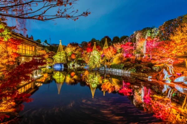 Koishikawa Korakuen Garden - Nơi hội tụ vẻ đẹp của mùa thu Nhật Bản