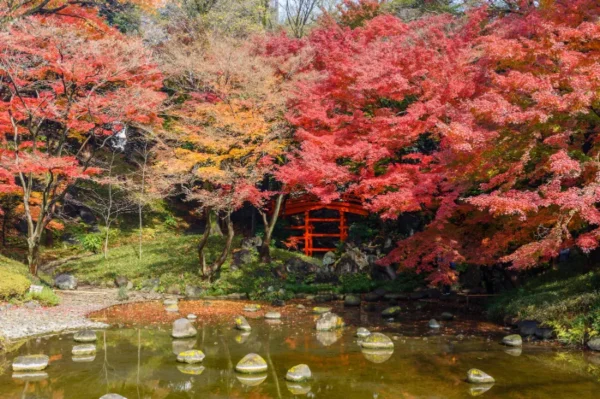 Koishikawa Korakuen Garden - Nơi hội tụ vẻ đẹp của mùa thu Nhật Bản