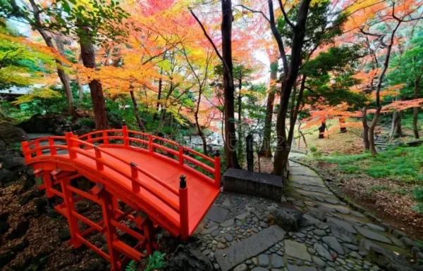 Koishikawa Korakuen Garden - Nơi hội tụ vẻ đẹp của mùa thu Nhật Bản