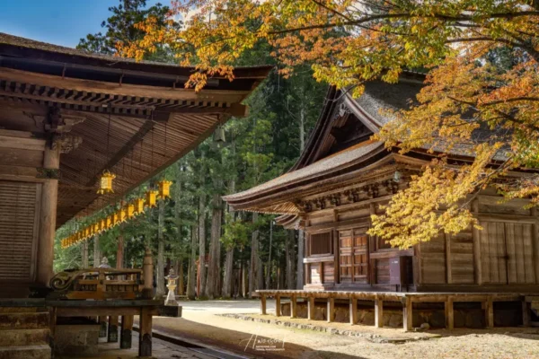 Núi Koya (Koyasan)
