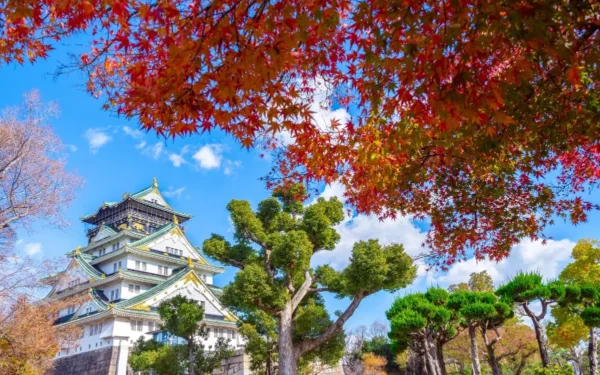 lâu đài Osaka mùa thu