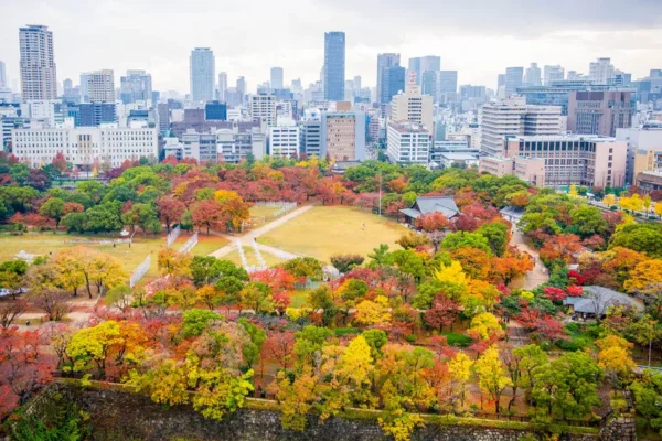lâu đài Osaka mùa thu