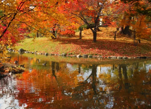 Nakajima Park